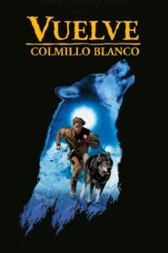 Colmillo blanco 2