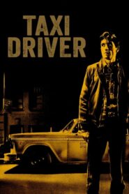 Taxi Driver