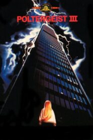 Poltergeist 3: (Juegos diabólicos)